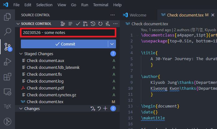 VS Code source control panel with a commit message entered