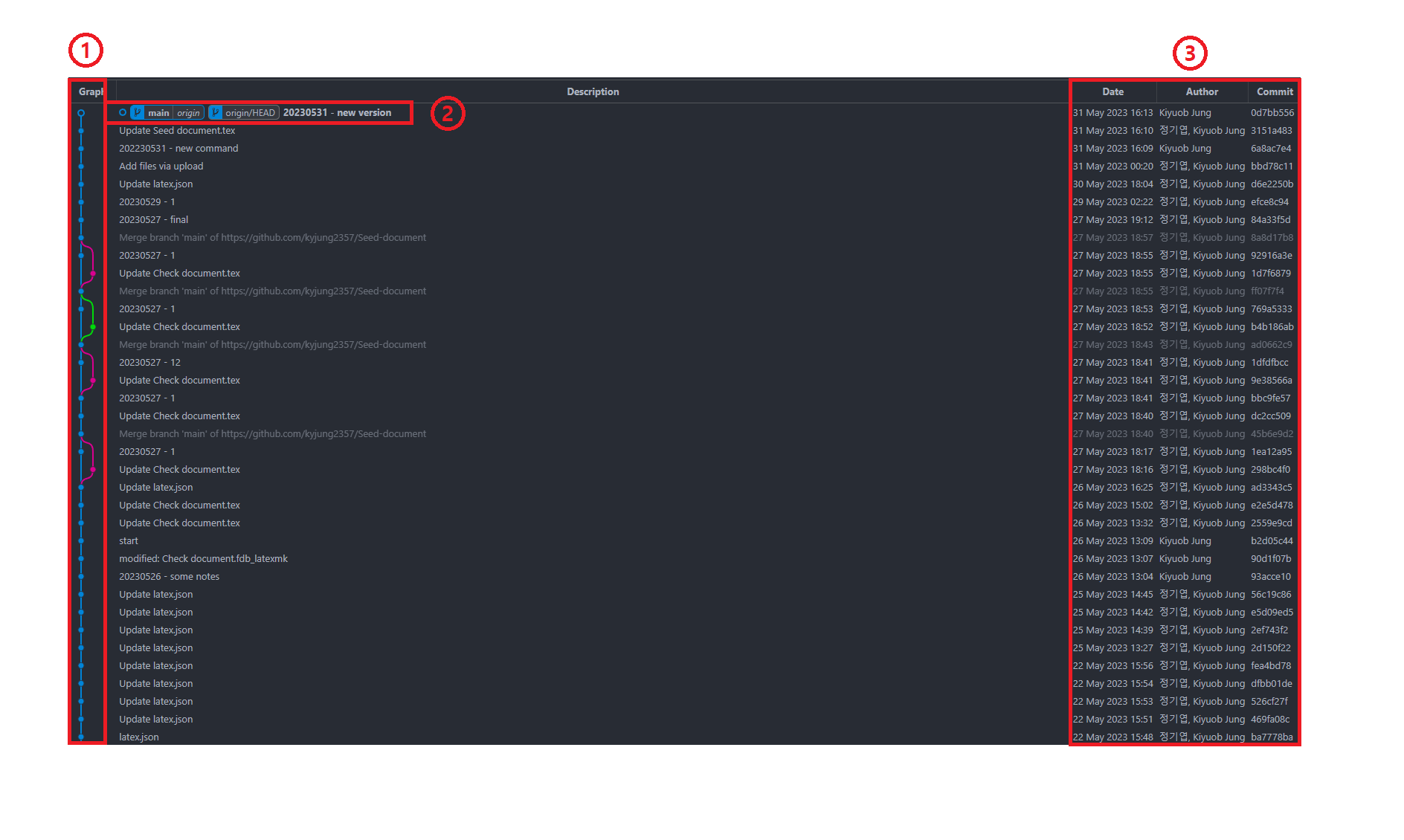 Git Graph interface sections