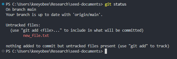 Git status output in the terminal