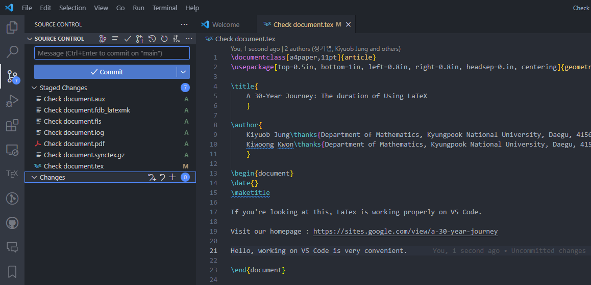VS Code source control panel with a commit message entered