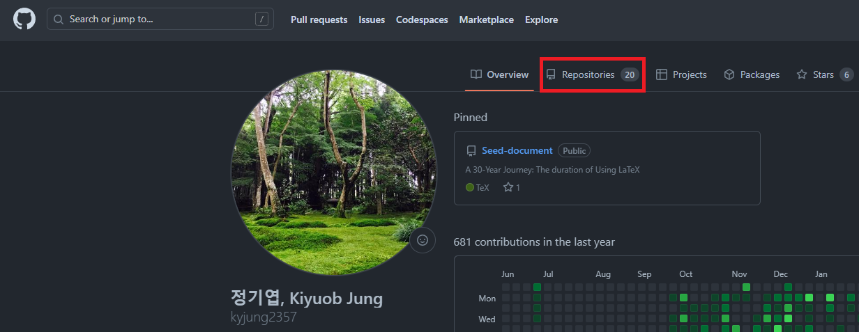 GitHub profile with the Repositories tab highlighted