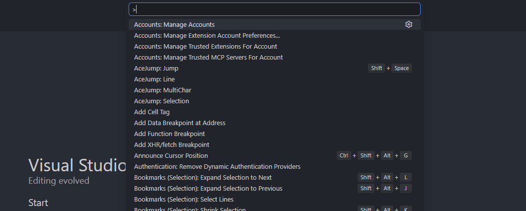 VS Code Command Palette